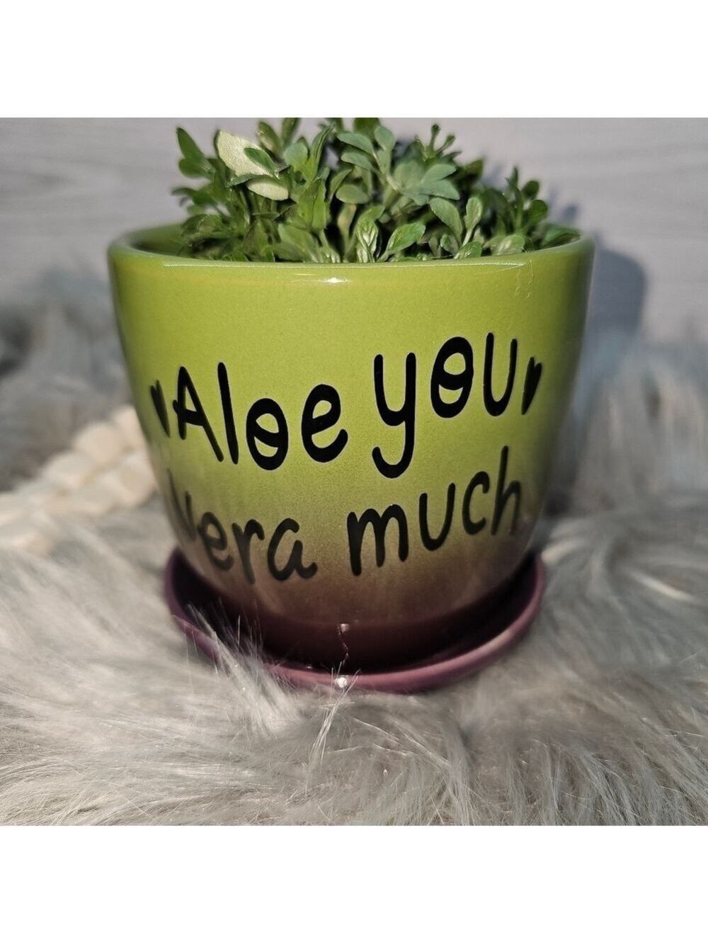 🌞2 for $20🌞Funny sayings plant pot Aloe You Vera Much